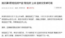 视频爆料规则最新版,揭秘合规发布与风险规避要点